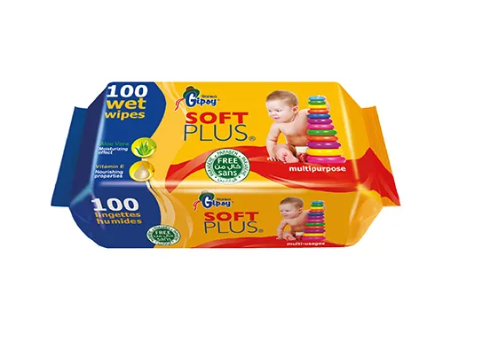 Sanita Gipoy Soft Plus Multipurpose Wet Wipes 100 Wipes